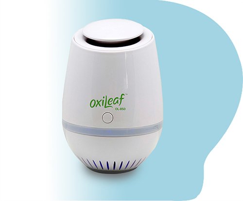 Oxileaf Oxileaf