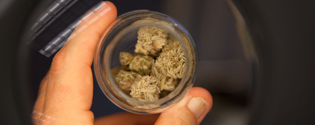 motherboard's tweet image. Study suggests that regular pot smoking could cause vision problems bit.ly/2gG0dWf