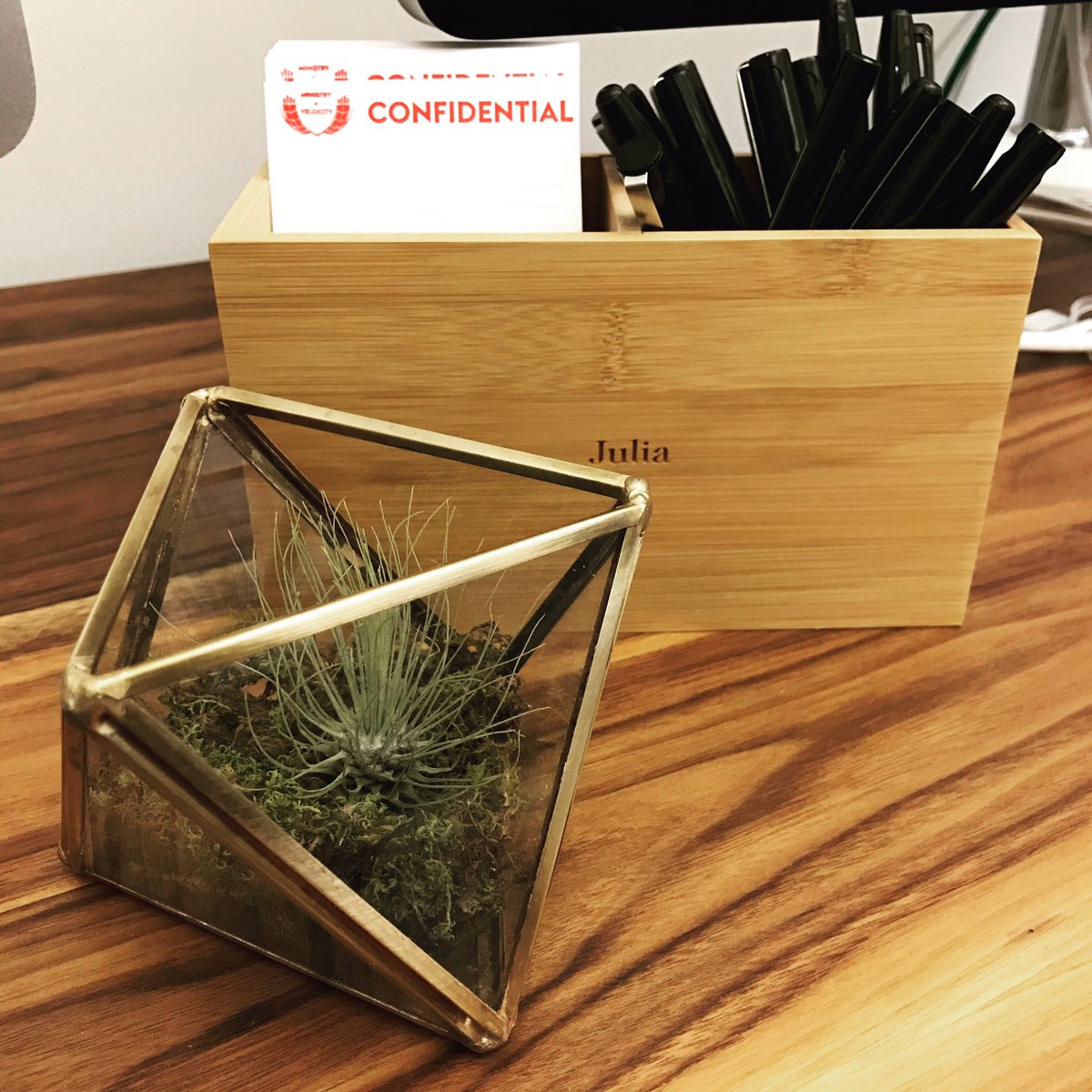 minifast's tweet photo. Our office plants are making a comeback! 🌿 https://t.co/D2bGK3EFAg