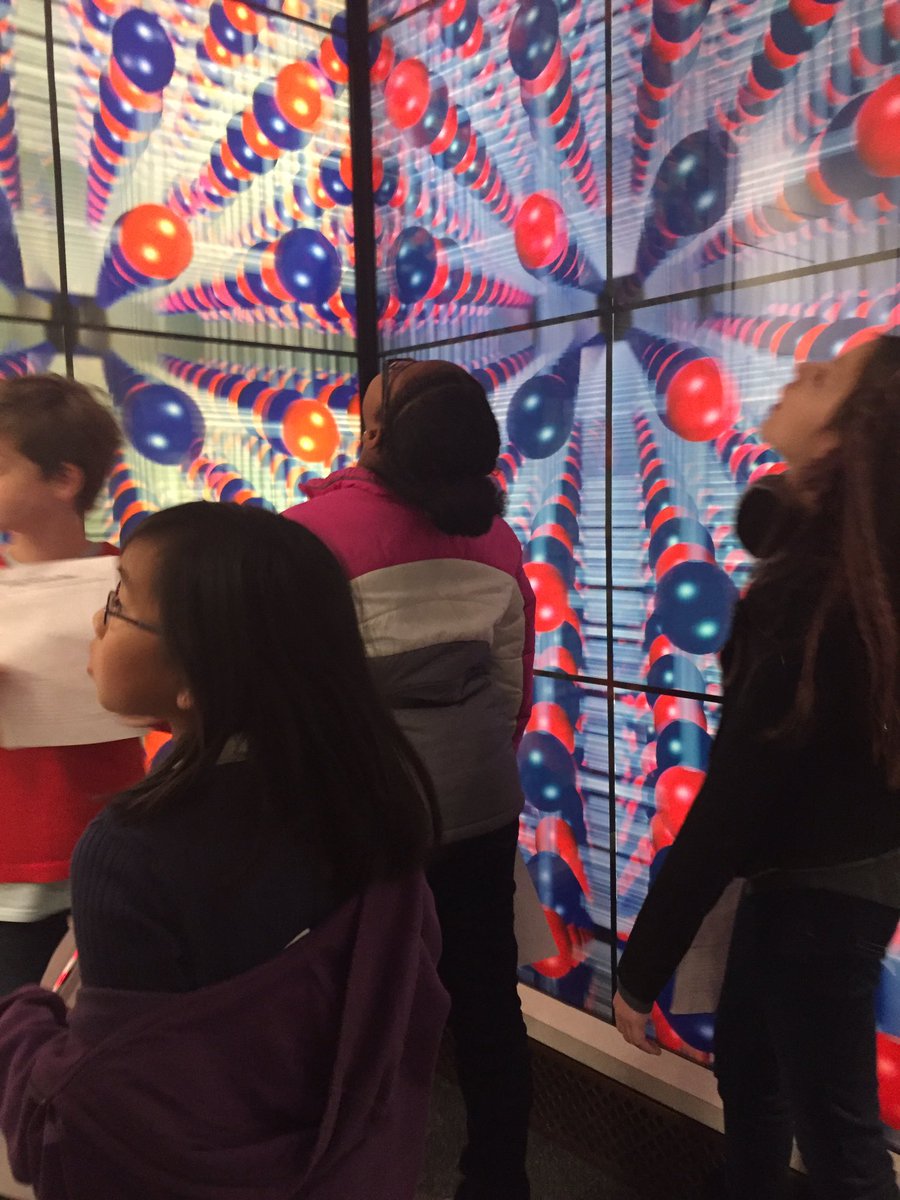 Checking out the exhibits at the Museum of Natural History!  #StratfordLndgES #OceansandGems