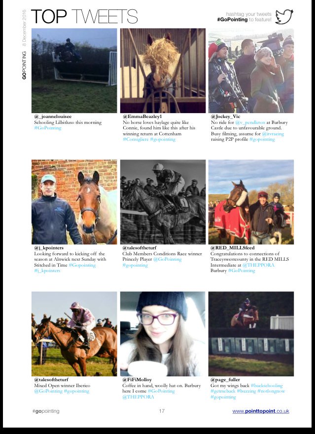 REDMILLSHorse's tweet photo. Look what's just arrived to our inboxes?! It's @GoPointing! Loving the RED MILLS mentions #GoPointing https://t.co/MLpWRPhVK1