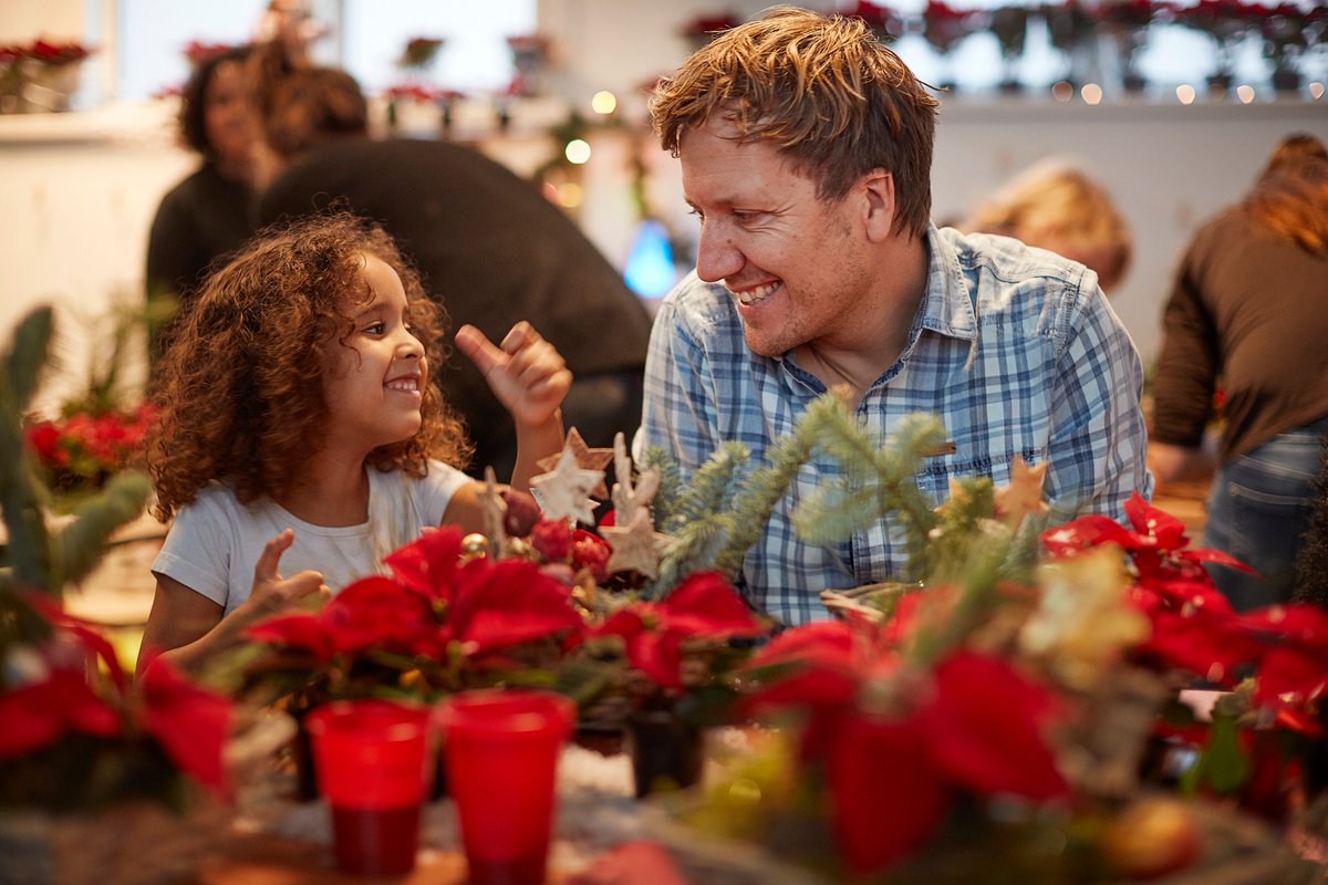 Gisteren stak <a href="/klaasmans/">Klaas van Kruistum</a> opvang Roggeveen een hart onder de riem met honderden Kerststerren in het licht van de Dag van de Kerstster 12 dec.