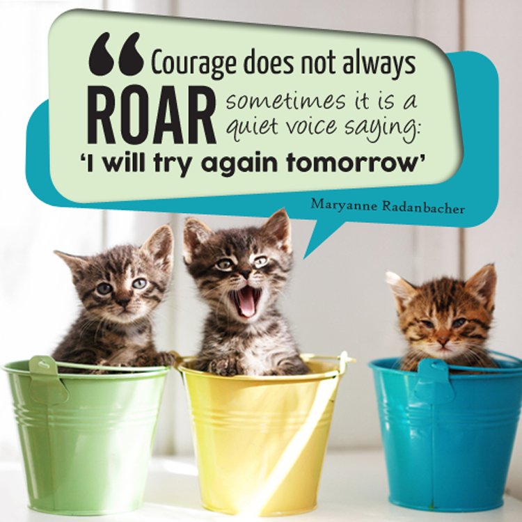 Tramonto_Chiro's tweet image. Tomorrow is a new day.