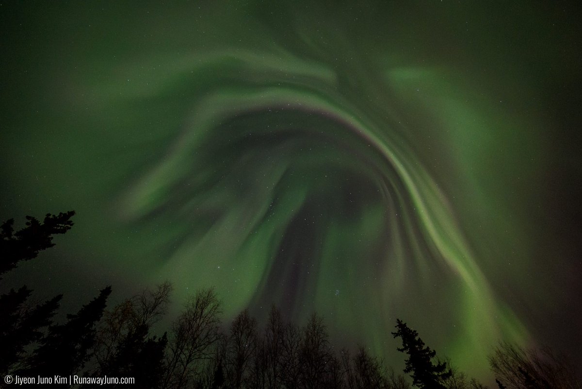 RunawayJuno's tweet photo. The Day I Saw the Northern Lights in Anchorage https://t.co/OELYMoh7Rj My aurora chasing continues... @VisitAnchorage #WinterAlaska https://t.co/vzyPwmtWKM