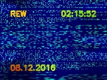 quinn_hannivan's tweet image. 