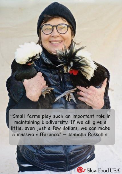 Slow Food USA (@slowfoodusa) on Twitter photo Join us in defending the future of food slowfoodusa.org/one-time-donat… <a href="/IsaRossellini/">Isabella Rossellini</a> #LovetheEarth #DefendtheFuture #ProtectBiodiversity Join us in defending the future of food slowfoodusa.org/one-time-donat… <a href="/IsaRossellini/">Isabella Rossellini</a> #LovetheEarth #DefendtheFuture #ProtectBiodiversity