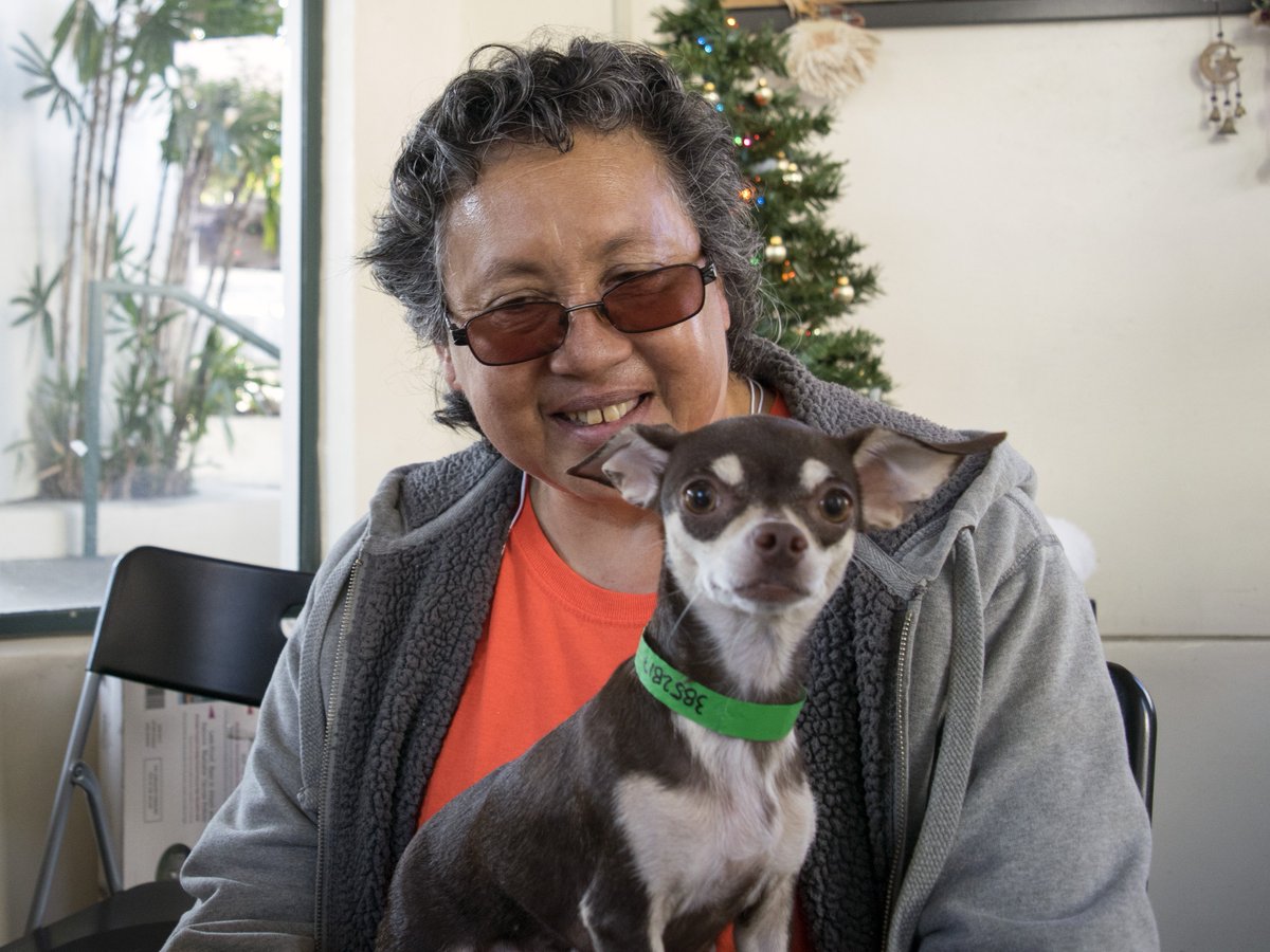 PasadenaHumane's tweet photo. Sugar has never looked so at home as she does in her adopter Gwen's lap! #Take5PHS https://t.co/dWfOebZRJ6