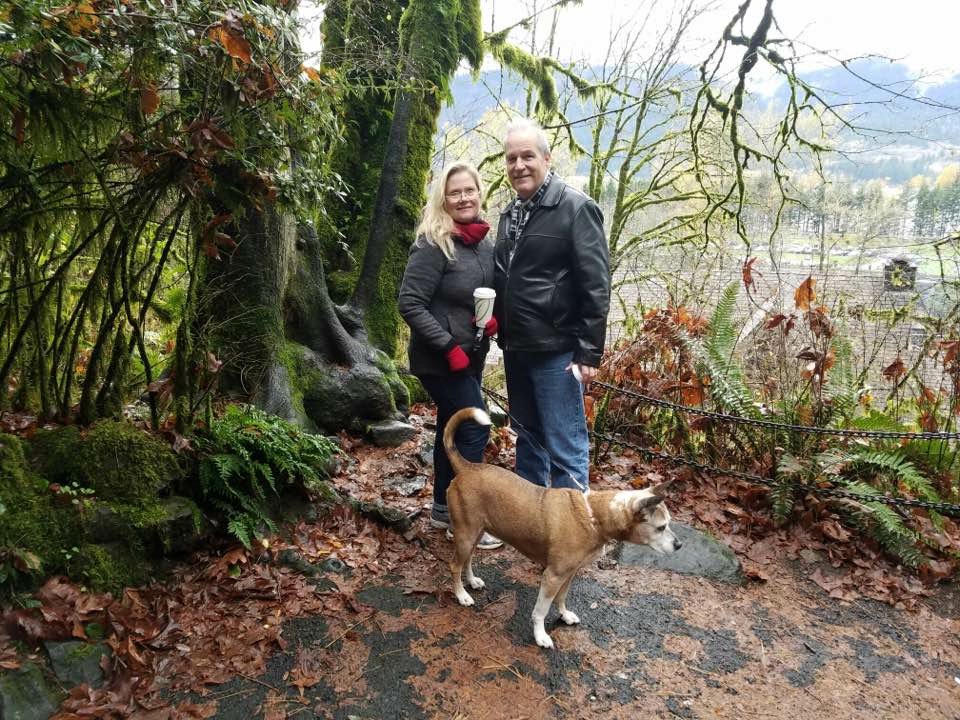 LeftoverPi's tweet image. 