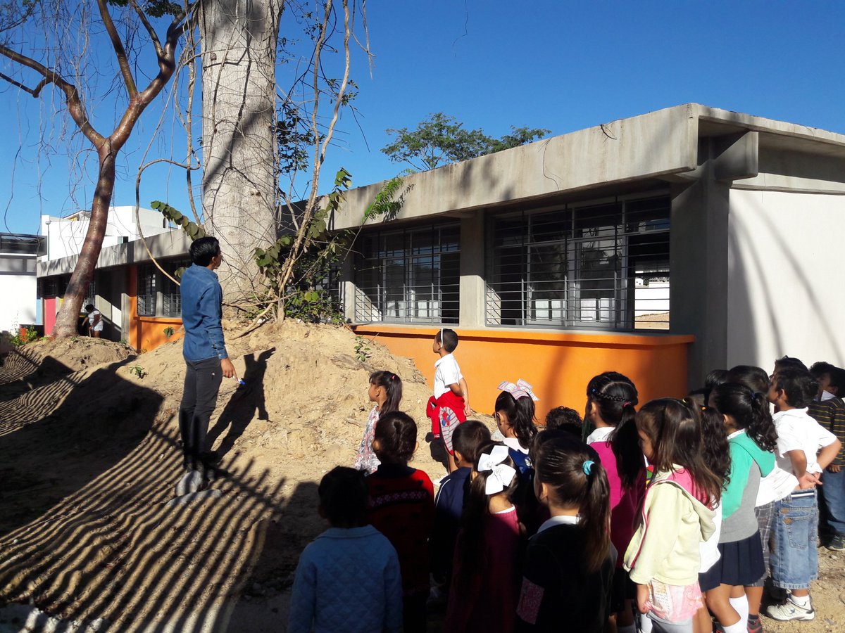 jpauletm's tweet photo. Nuestros niños aprendiendo sobre las plantas. Encantados de plantar un árbol y sembrar su semilla! JdN de Ecoterra @dalilacs4 https://t.co/y2SFUrSGPC
