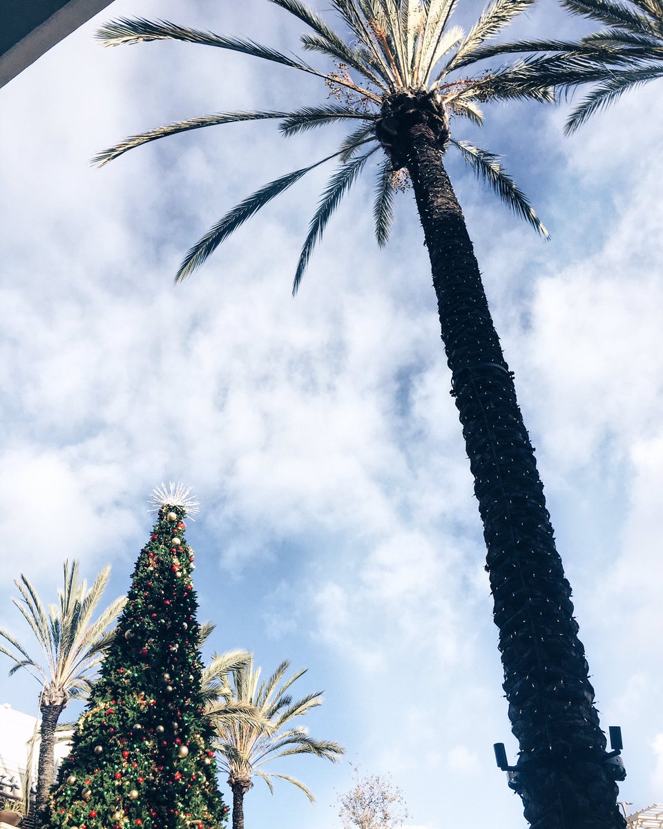 monadejoy's tweet photo. Happy Thursday Everyone #Christmas #SanDiego #california https://t.co/j2AE26NI5b