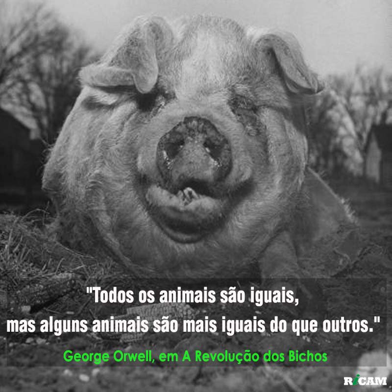 Ricamconsult's tweet photo. Parece que George Orwell anteviu o Brasil de hoje. https://t.co/NUwLMWgm7V