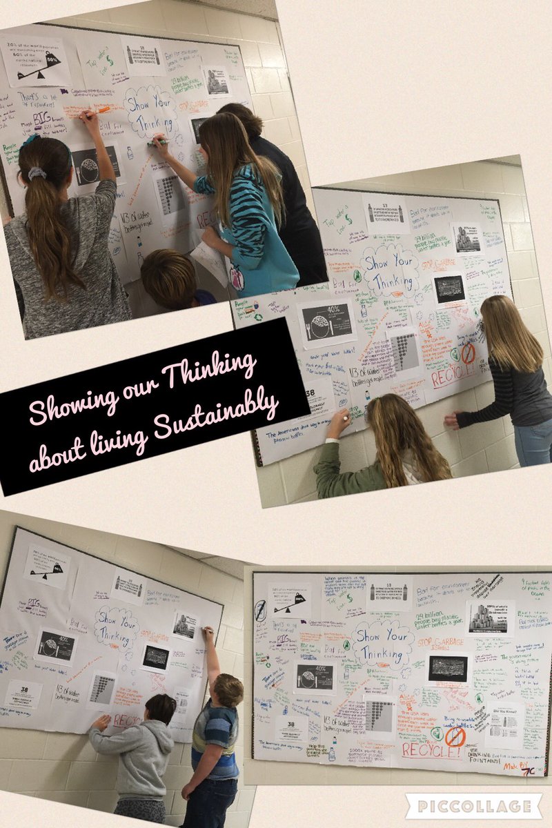 theAmazing7C's tweet photo. Sustainability with our superstar student teacher @MissBaigent #northdalecps https://t.co/JutbfGjHPy