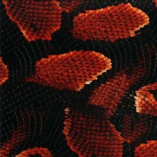 jaynancy2's tweet image. 