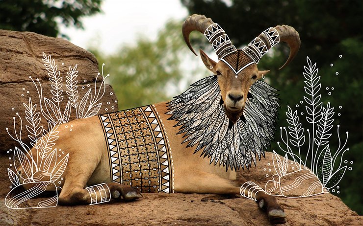 designwrld's tweet photo. Illustrator Doodles Tribal Costumes Over Animal Photographs
https://t.co/FJxsA8vRCg
#doodles #illustrations #tribaldesigns https://t.co/lQAOQTfq72