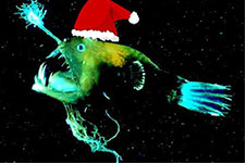MQ Marine Explorers Holiday Lights Saturday! 7-10 yr olds investigate the bioluminescence science! #UNCWMarineQuest  uncw.edu/marinequest/ex…