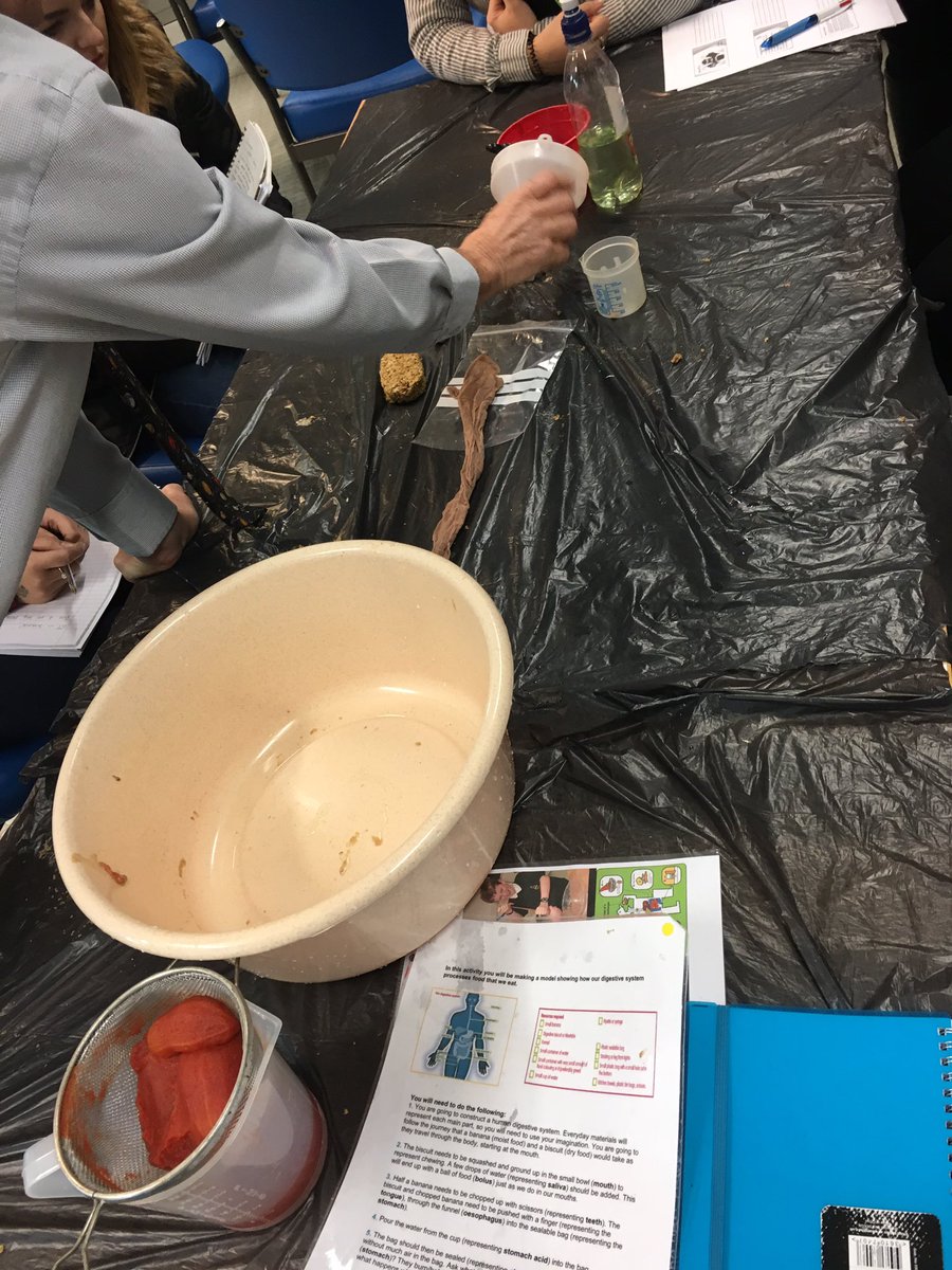 missmarshallY4's tweet photo. A practical digestive system lesson in science at #edgehilluniversity Very engaging and one that I will be using in the future! #ehuscience https://t.co/Xkjec19Yqs