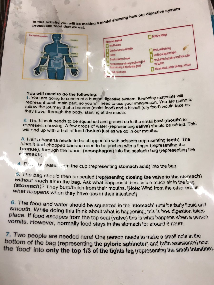 missmarshallY4's tweet photo. A practical digestive system lesson in science at #edgehilluniversity Very engaging and one that I will be using in the future! #ehuscience https://t.co/Xkjec19Yqs