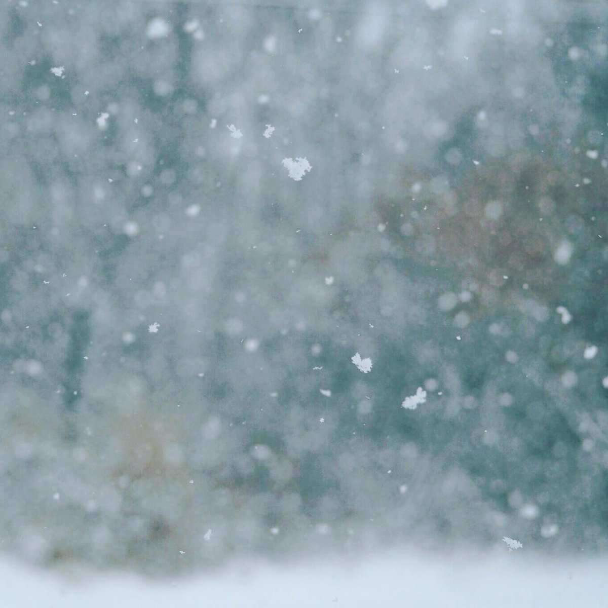 雪降る空 Twitter Search Twitter 雪降る空 Twitter Search Twitter
