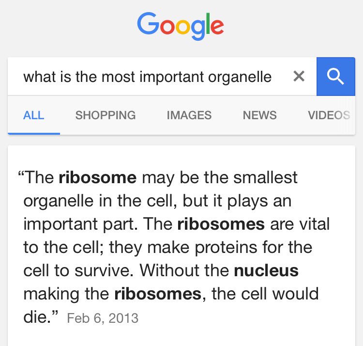 what is the most important organelle in a cell