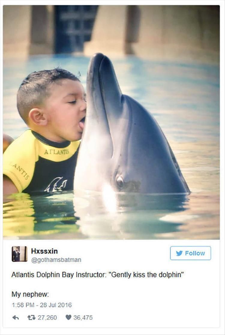 CauseWereGuys's tweet photo. Best tweets of 2016 https://t.co/w1E2AIbZg2
