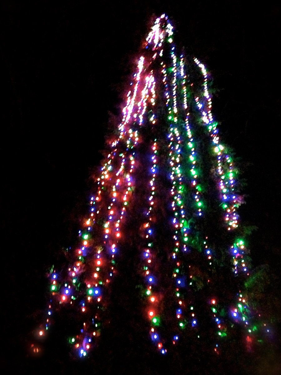 Zing! performs @DunbarCC Annual Tree Lighting!