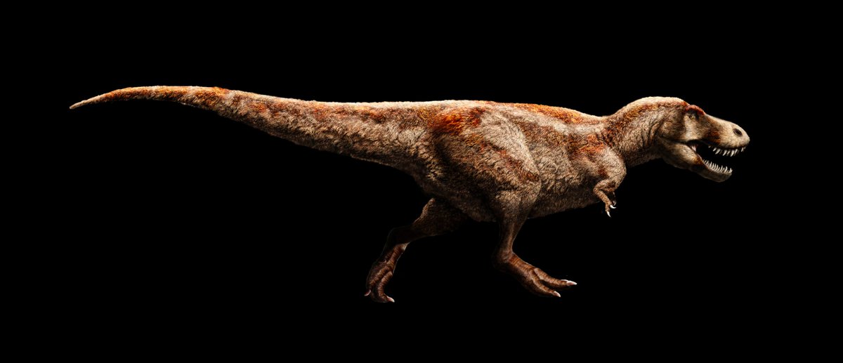 dinoecosystems's tweet photo. Free talk: "#Tyrannosaurs: #TRex & its close relatives" by @PalaeoPittman on Dec17 at #HKScienceMuseum https://t.co/VzMxs9s3Q5
@HKUniversity https://t.co/JdKQ6ZEfSg
