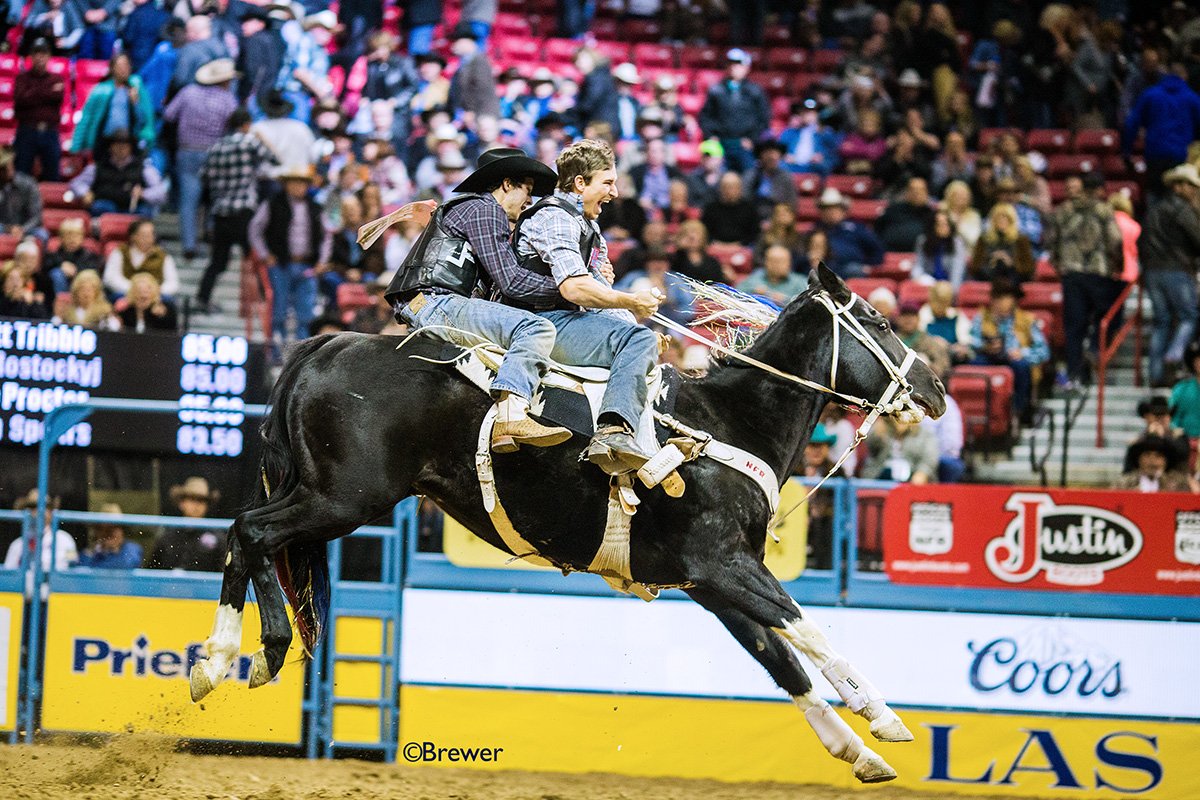 CBRbull's tweet photo. Congrats #CBRCowboy Cody Rostockyj! 85.00 Points, Andrews Rodeo Company, Monkey Punch I Photos by Brewer I Results: @ProRodeoOnline https://t.co/FiXNdhCyHN