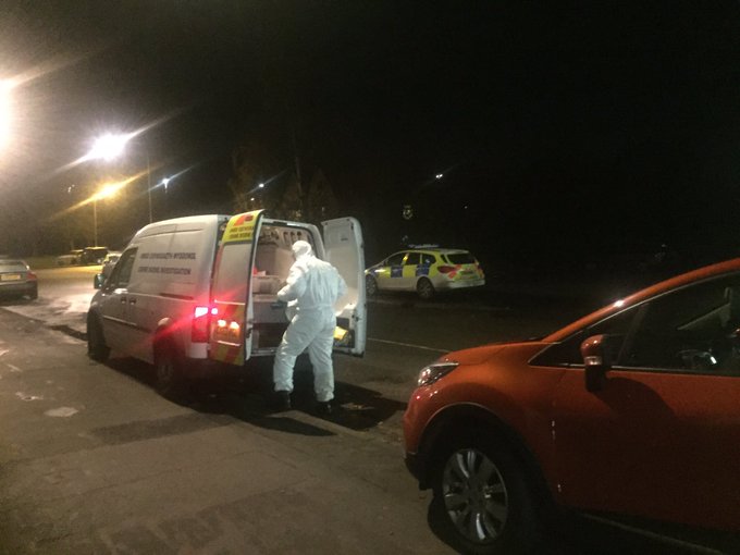 View image on Twitter