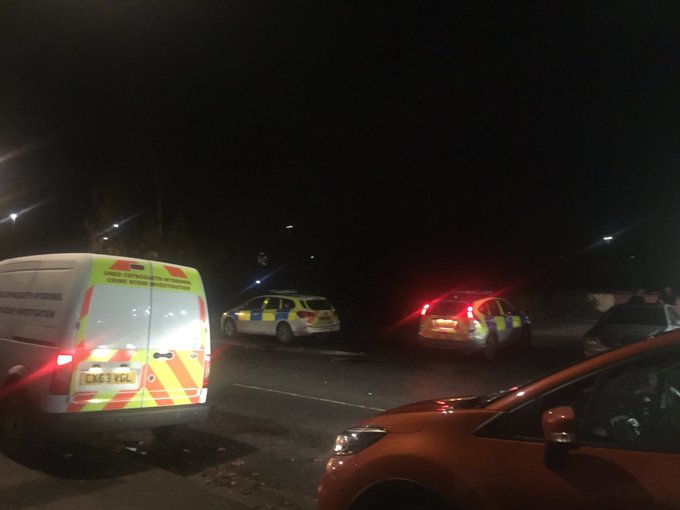 View image on Twitter