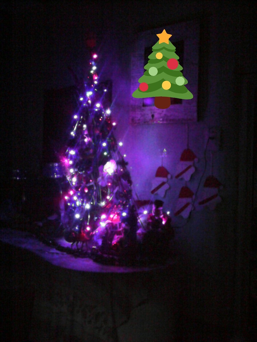 MeraniDaniela's tweet photo. Fotito de nuestro🎄#arbolito iluminado q lindo q me quedo!!.....🎁🎄🎀 https://t.co/qtz6iTdhot