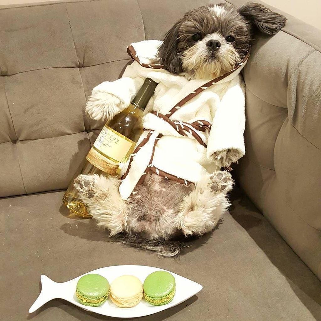 VisitNapaValley's tweet photo. Staying warm at the spa with @stsupery Sauvignon Blanc. 📷: @latteandmaddie https://t.co/qAtbjZ4wYN https://t.co/2OT5vSg6Ks