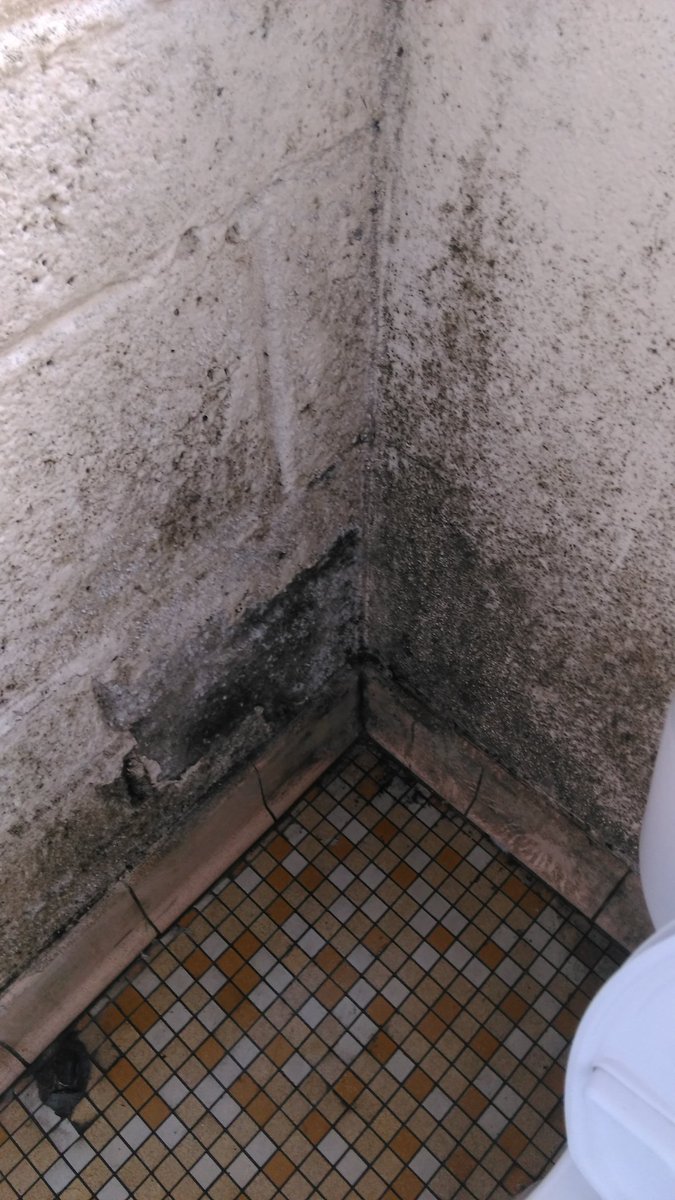 PopLawler's tweet photo. @roinnslainte spent 2 hrs sitting in caredoc Carlow today for an appointment with my son,this is a pic of walls in bathrooms healthy looking https://t.co/hFg1kvdO7Y