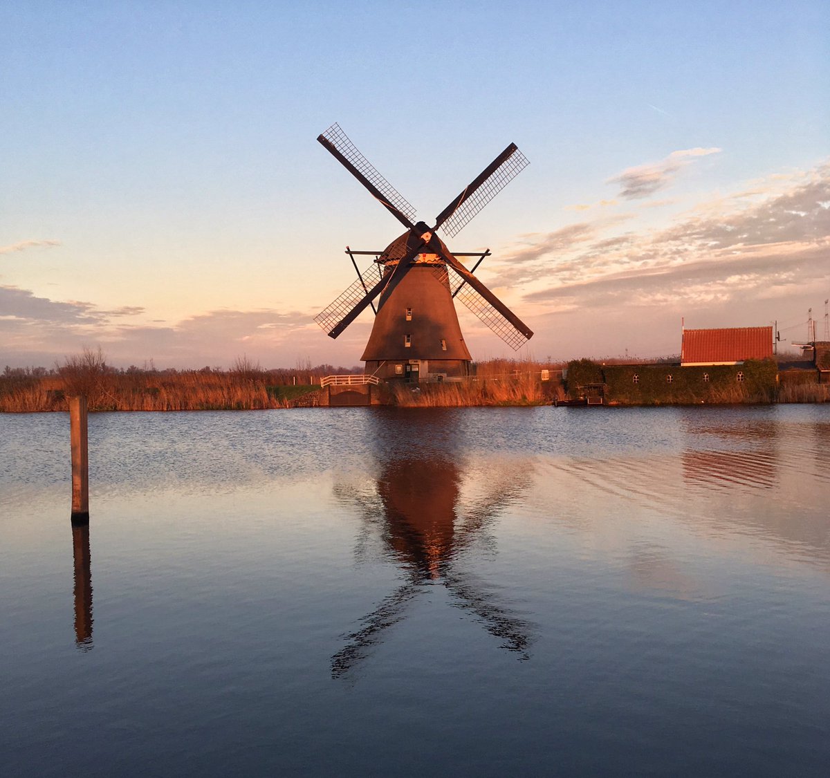 blueskytravler's tweet photo. Splendid day for windmill walking 🌷 The places you go with @VikingRiver #travel #vikingsocial https://t.co/tsoPDy7G04