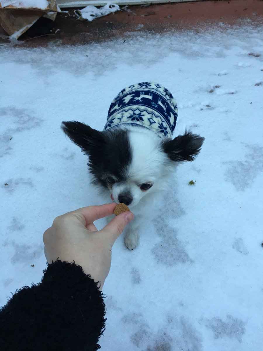 CandyCandraa's tweet photo. Snow 😍😄💕❄️ https://t.co/a19JI27Msy