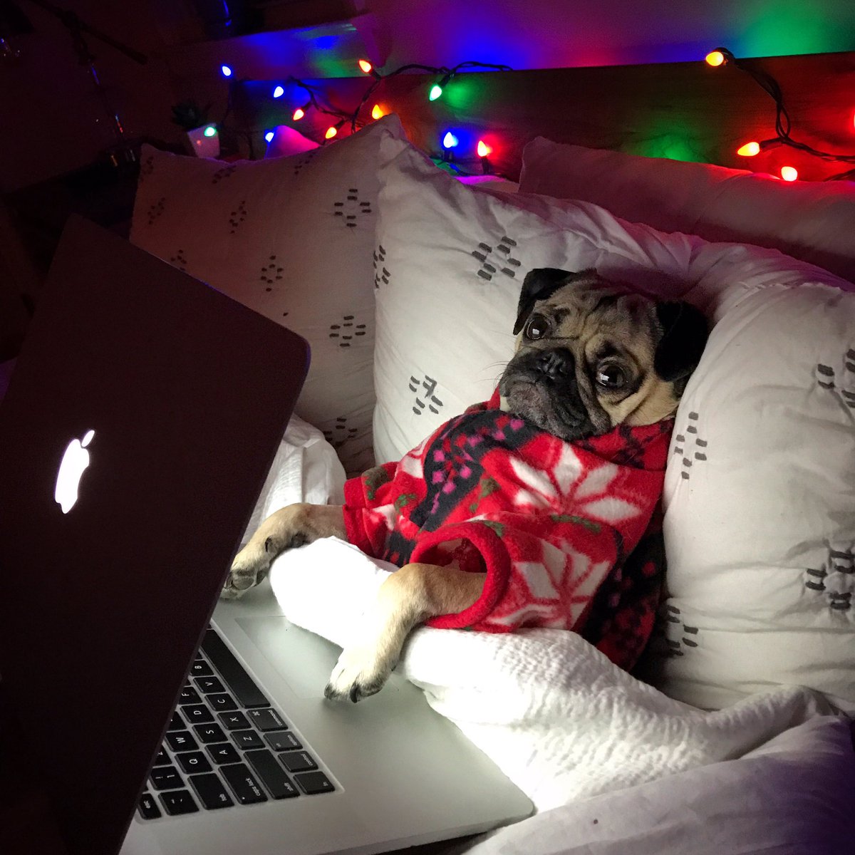 What I plan on doing my entire Winter Break