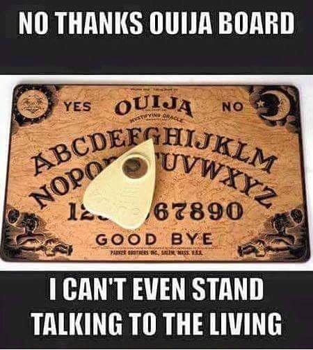 quinn_hannivan's tweet image. 