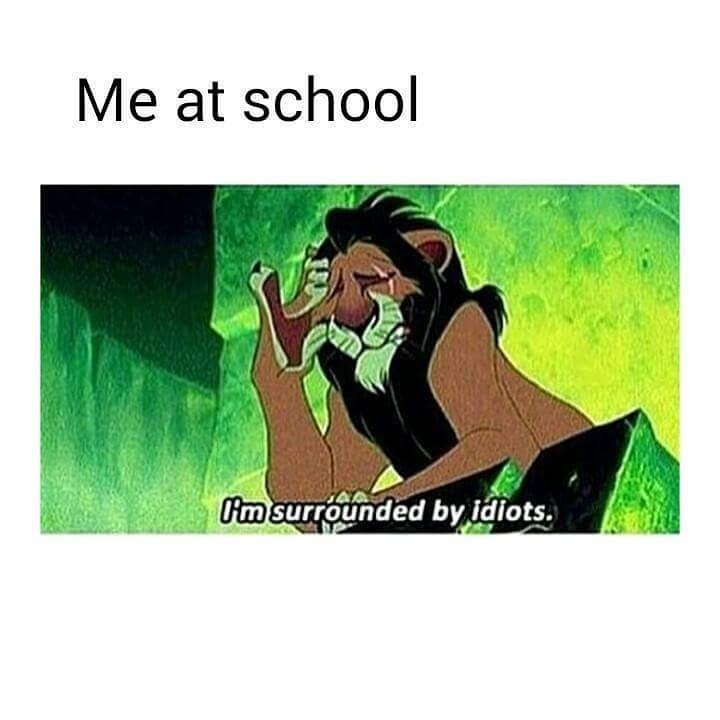 quinn_hannivan's tweet image. That&apos;s so me haha