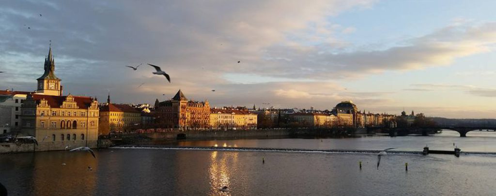 Where hindsight meets intention -- one way to find your "calling". thelittleplans.wordpress.com/2016/12/08/how…