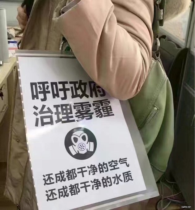 View image on Twitter