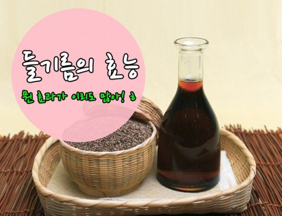 들기름의 효능    |