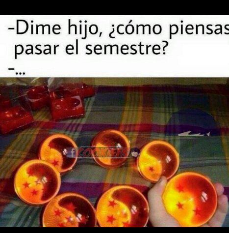 MoauSama's tweet photo. Todo depende de Sheng Long https://t.co/h3J6rLjnRP