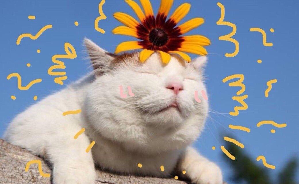 Possessive (@possessive) on Twitter photo 