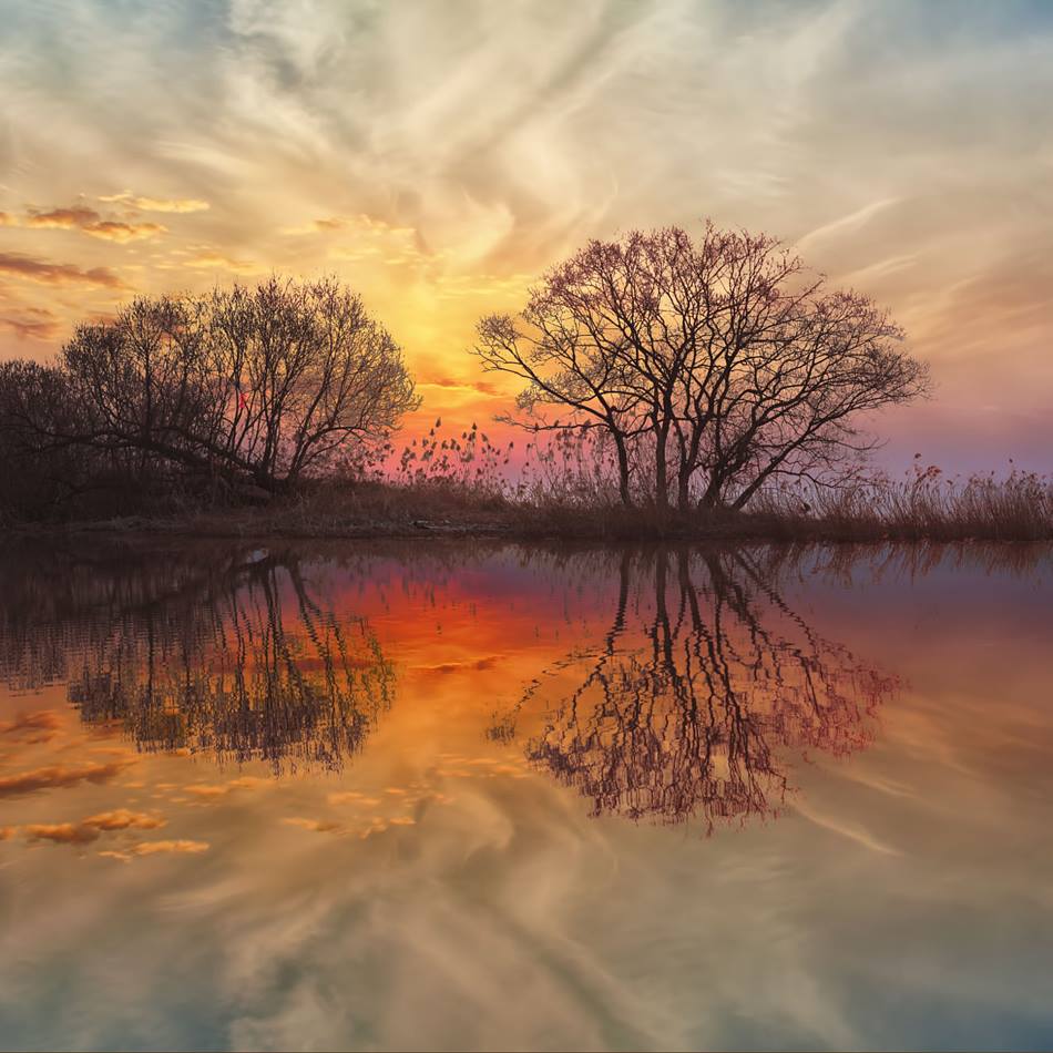 OraliaSotoRoman's tweet image. December by...c1113