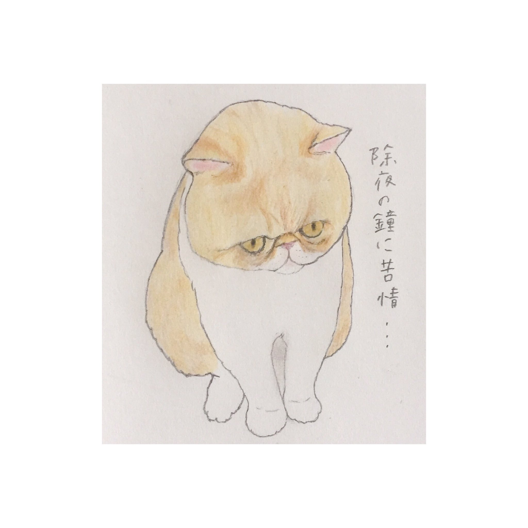 You Sur Twitter 今日のびっくり 除夜の鐘に苦情 年にたった1回なのに 私楽しみにしてるのにな エキゾは写真しか見たことないので いつか生で見たいです エキゾチックショートヘア エキゾ イラスト T Co Mgb9kkf8uu Twitter