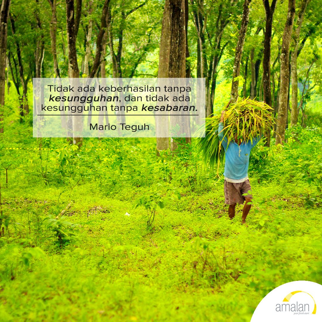 amalan_intl's tweet photo. Bersungguh-sungguhlah & bersabarlah dlm apa yg dikerjakan, niscaya keberhasilan akan menghampiri Anda. | https://t.co/tjnNyX72yE #amalanID https://t.co/E3ldAjwLka