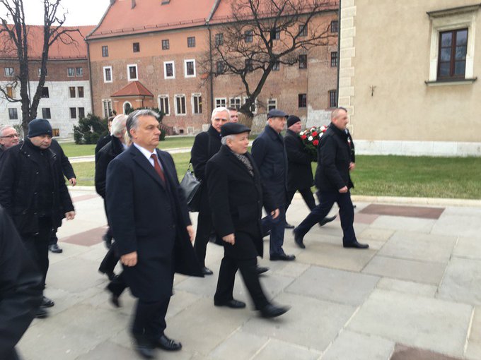 Zobacz obraz na Twitterze Zobacz obraz na Twitterze