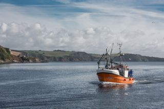 Cornish Sea Salt (@cornishsea_salt) on Twitter photo Raise a morning sherry to the fishermen who work so hard to bring in your Christmas catch! <a href="/OceanFishUK/">Ocean Fish</a> #Fishmas Raise a morning sherry to the fishermen who work so hard to bring in your Christmas catch! <a href="/OceanFishUK/">Ocean Fish</a> #Fishmas