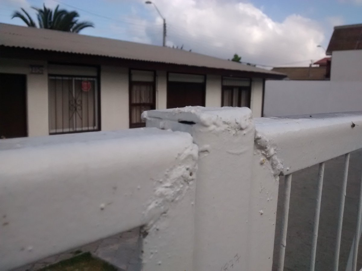 Diego Casas-Cordero tweet media