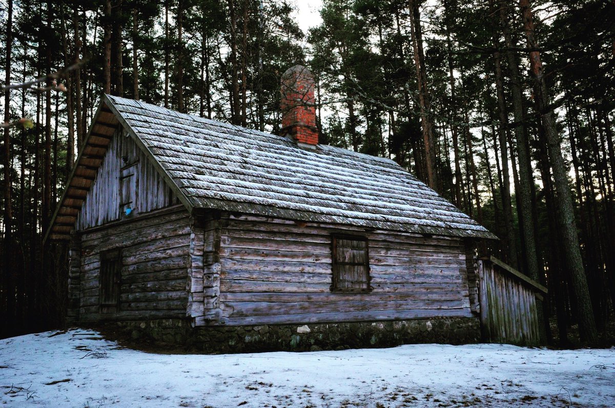 brivdabasmuzejs's tweet image. Ziema atkāpjas. #brivdabasmuzejs