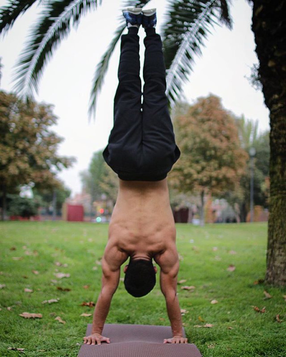 Bootymats's tweet photo. Conoces las colchonetas Bootymats? Visita nuestra web https://t.co/NK2zxWkxjS 
#perfectfortraining https://t.co/g8A1qQqS6p